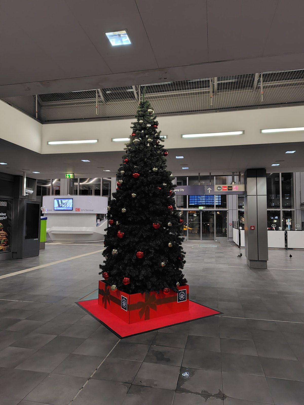 ドイツの主要駅にはどこもクリスマスツリーがあった気がする。